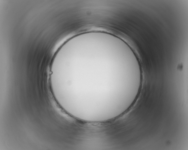 X0000113111198200908281009