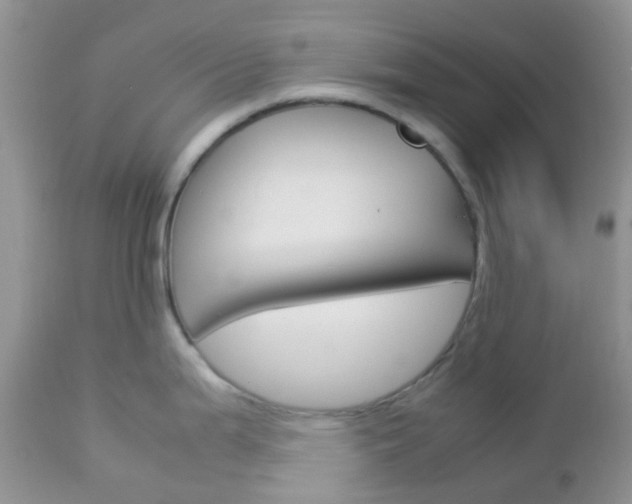 X0000113111199200908281009
