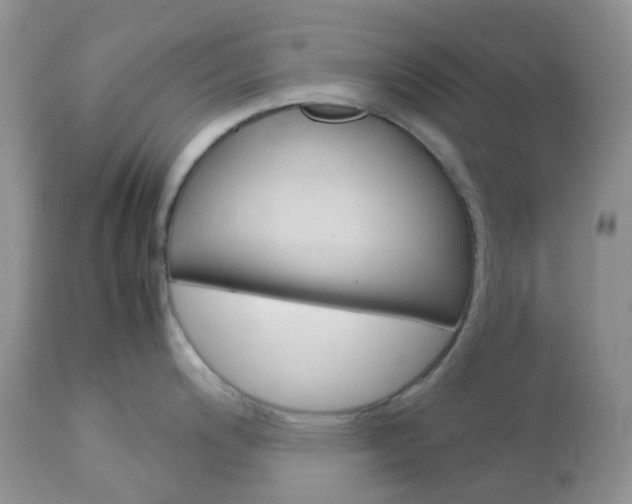 X0000113111200200908281009