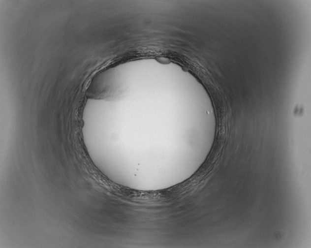 X0000113111201200908281009