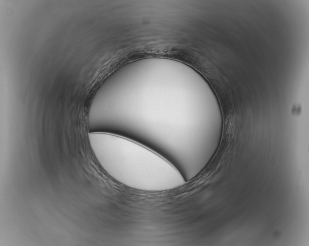 X0000113111202200908281009