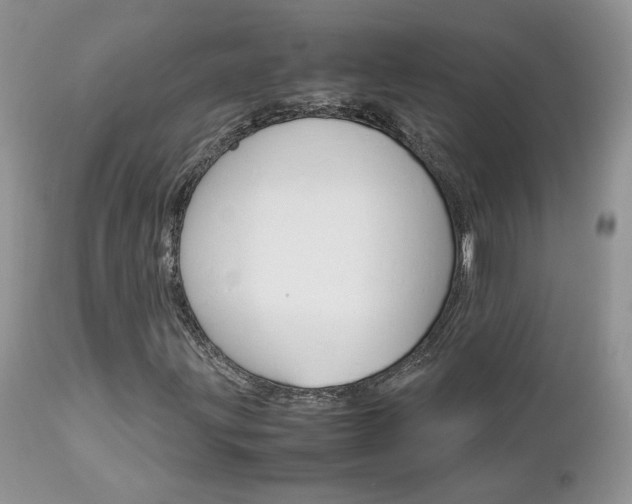 X0000113111203200908281009