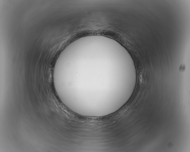 X0000113111204200908281009