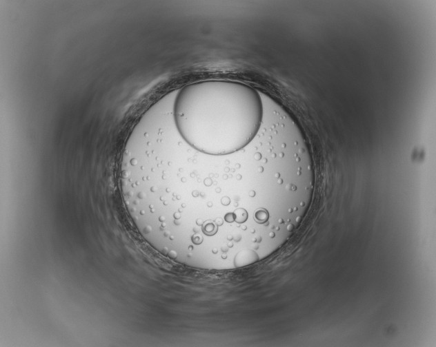 X0000113111205200908281009