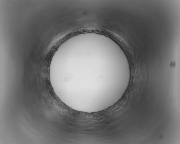 X0000113111207200908281009