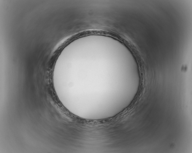 X0000113111208200908281009