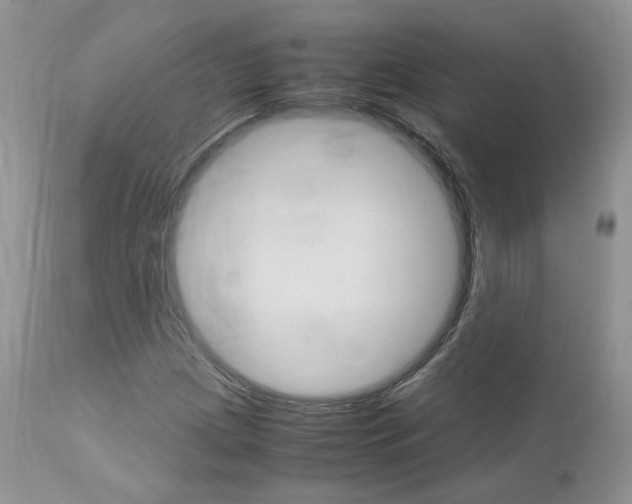 X0000113111209200908281009