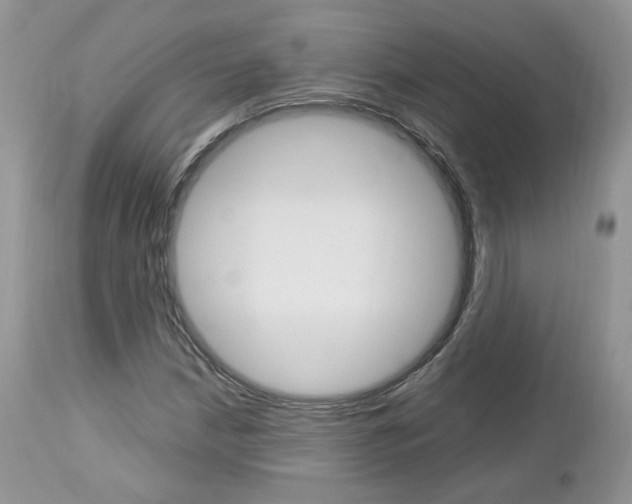 X0000113111210200908281009