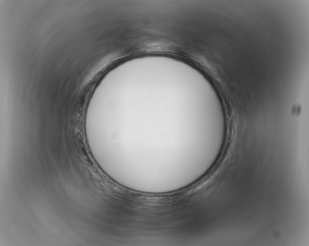 X0000113111211200908281009