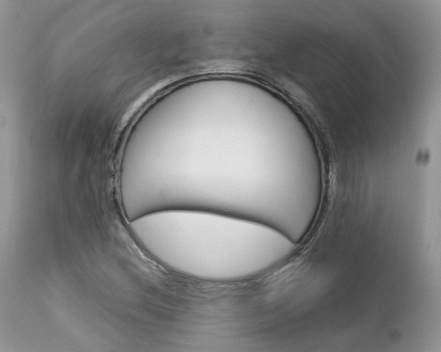 X0000113111212200908281009