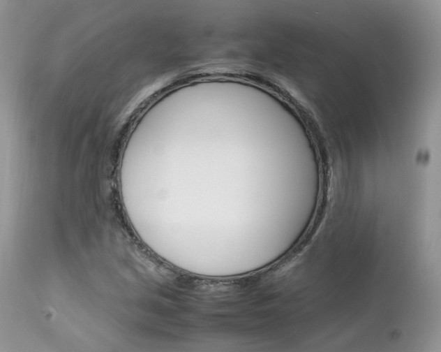 X0000113111213200908281009
