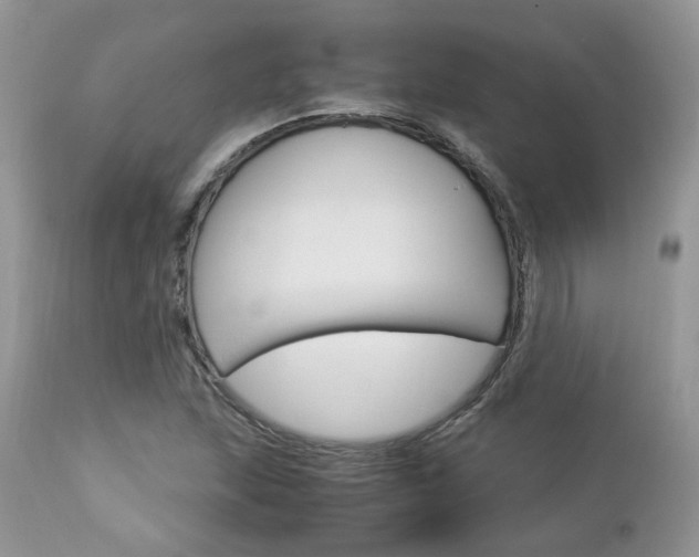 X0000113111215200908281009