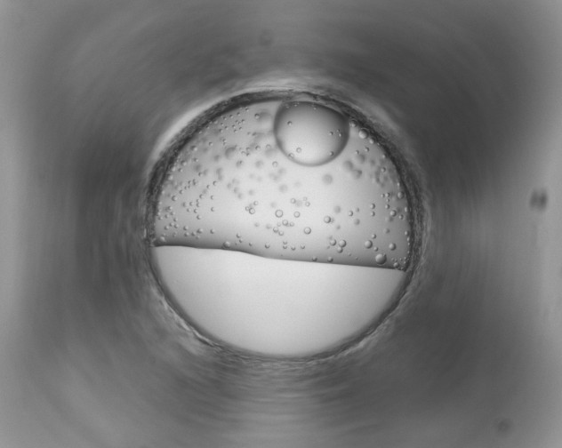 X0000113111216200908281009