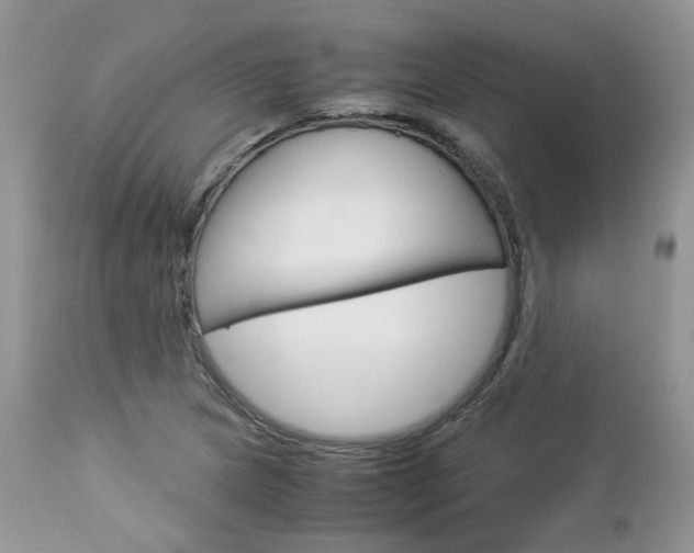 X0000113111217200908281009