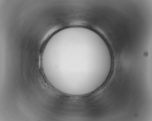 X0000113111219200908281009