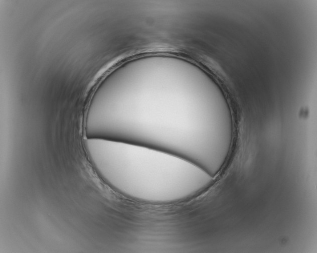 X0000113111220200908281009
