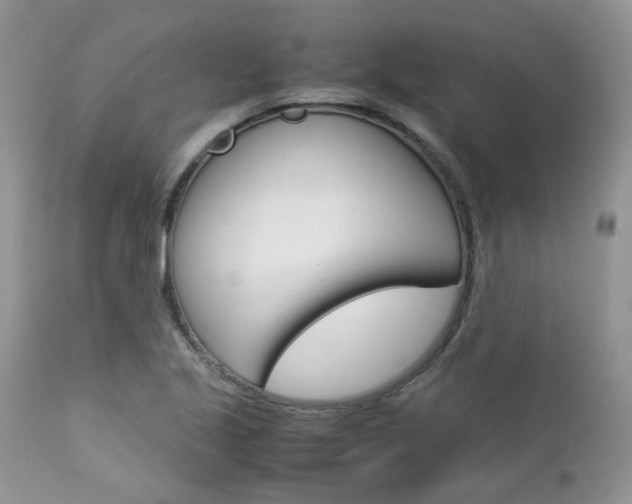 X0000113111221200908281009