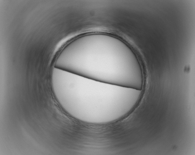 X0000113111222200908281009