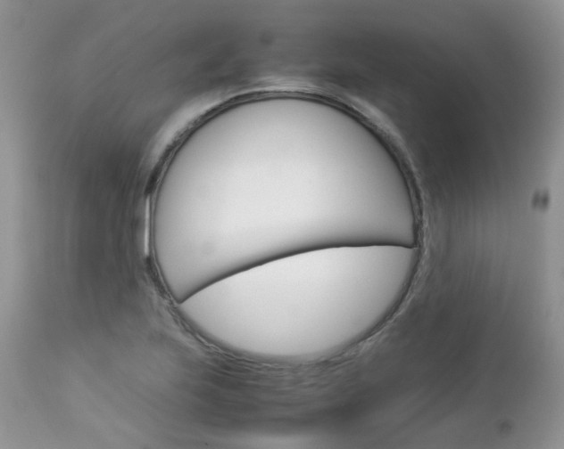 X0000113111223200908281009