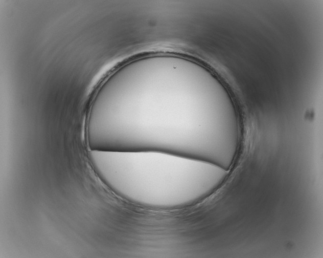 X0000113111224200908281009