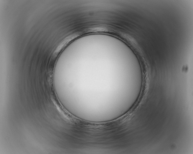 X0000113111225200908281009