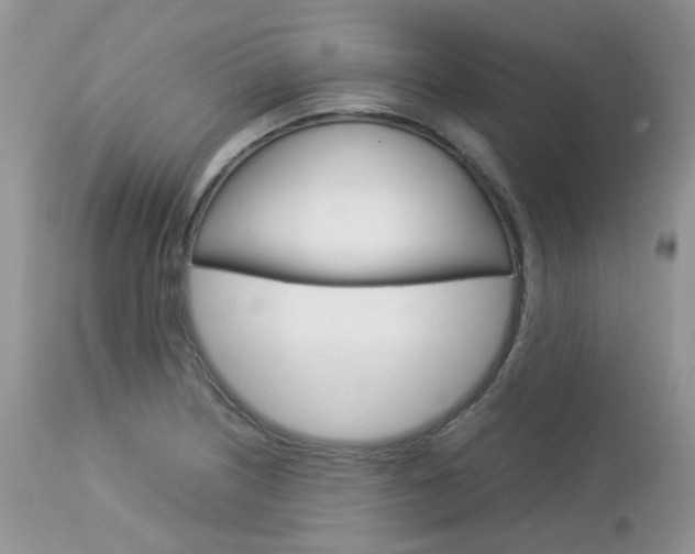 X0000113111226200908281009