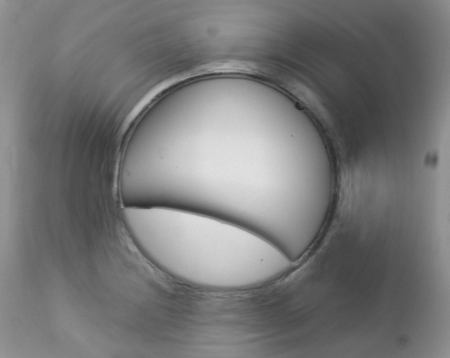X0000113111228200908281009