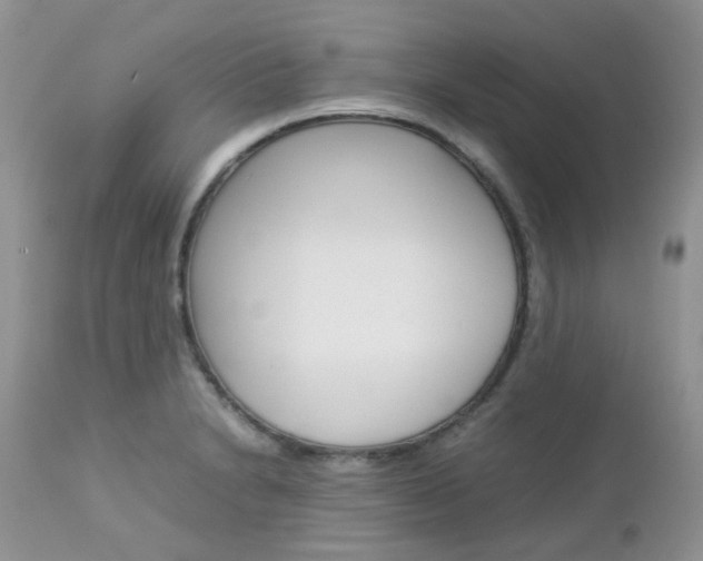 X0000113111230200908281009