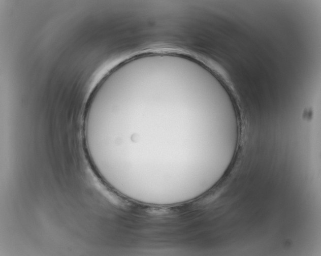 X0000113111231200908281009