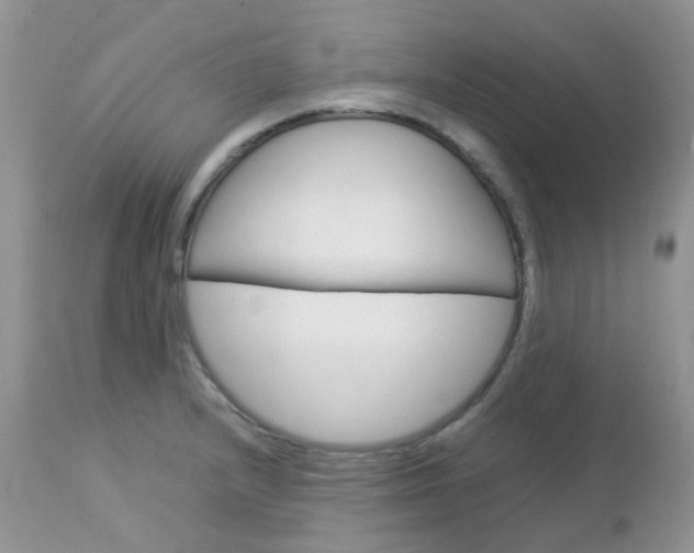 X0000113111232200908281009