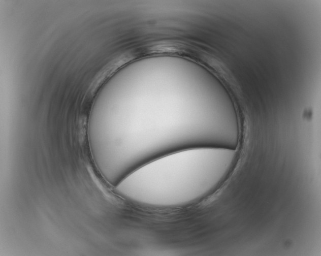 X0000113111233200908281009