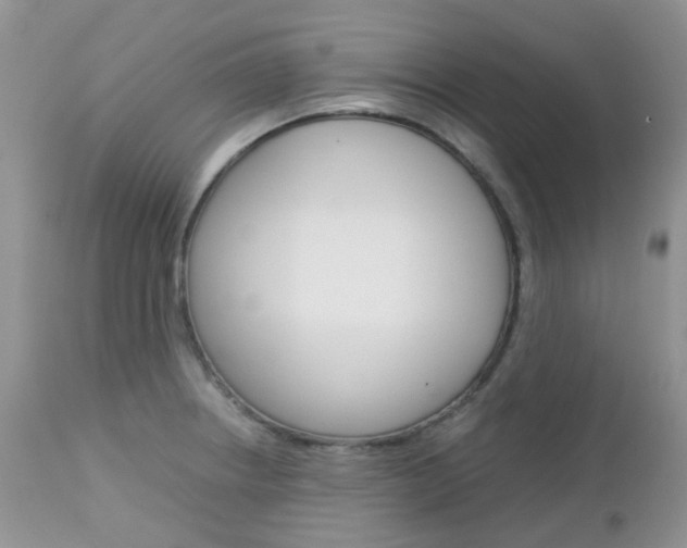 X0000113111234200908281009