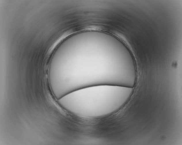 X0000113111235200908281009