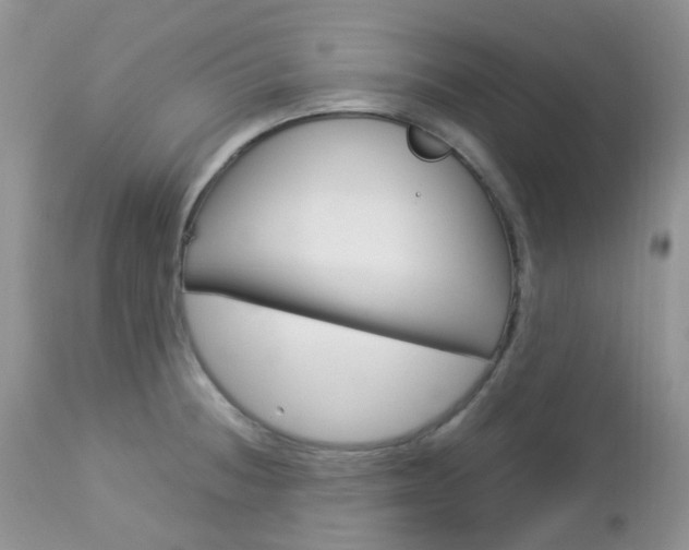 X0000113111236200908281009