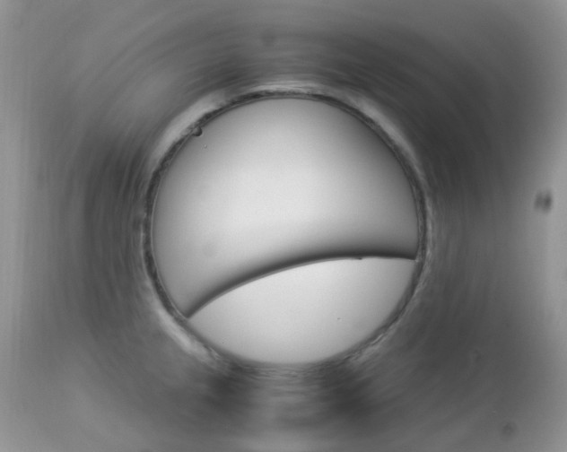 X0000113111237200908281009