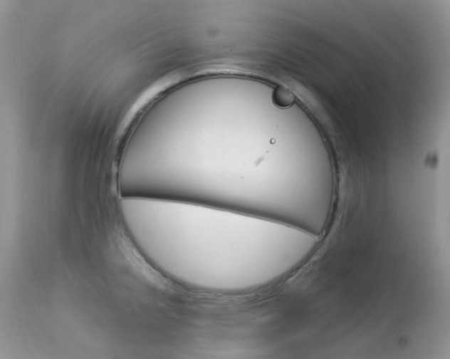 X0000113111238200908281009