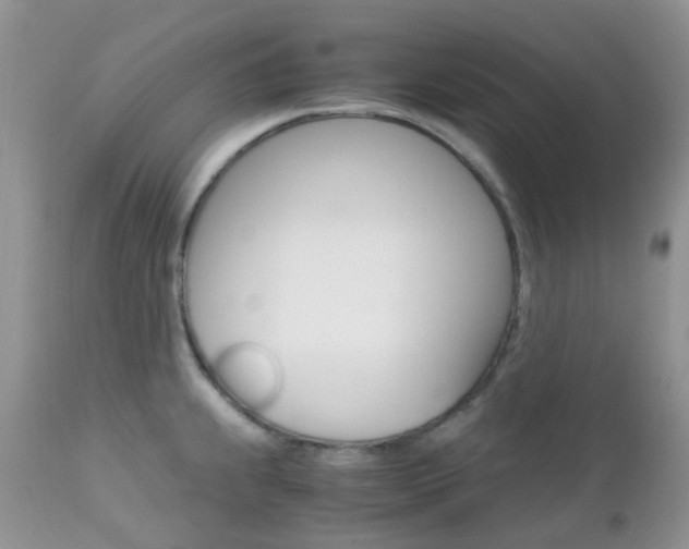 X0000113111239200908281009