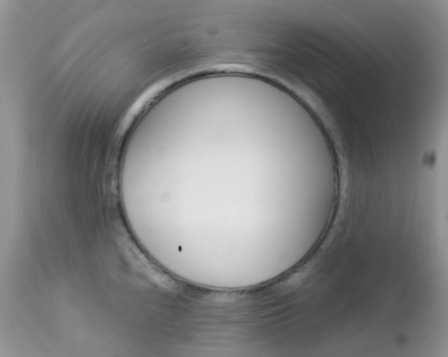 X0000113111240200908281009