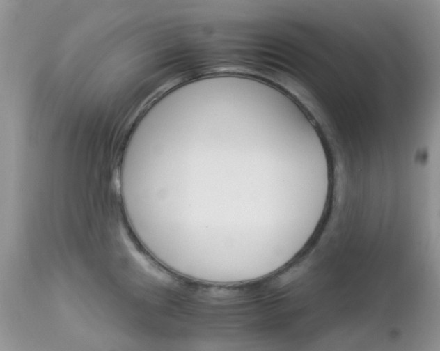 X0000113111241200908281009