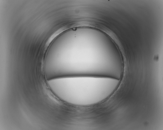 X0000113111242200908281009