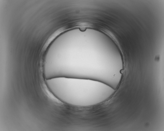 X0000113111243200908281009