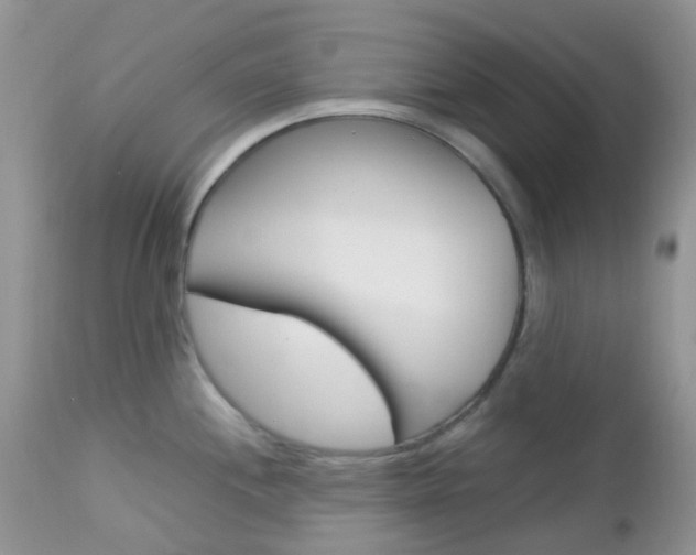 X0000113111244200908281009