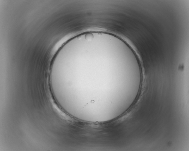 X0000113111245200908281009