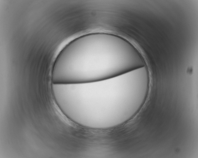 X0000113111246200908281009