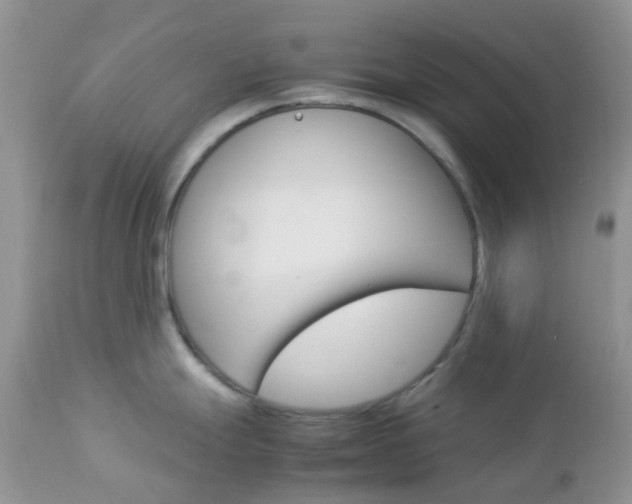 X0000113111247200908281009