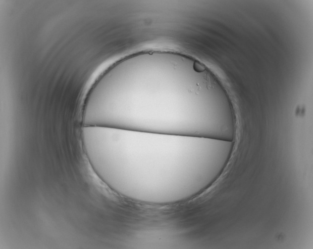 X0000113111248200908281009