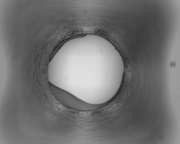 X0000113111249200908281008