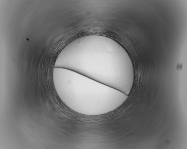 X0000113111250200908281008