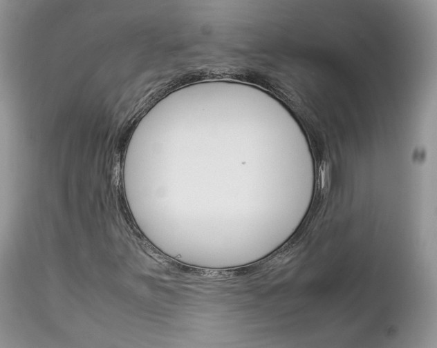 X0000113111251200908281008