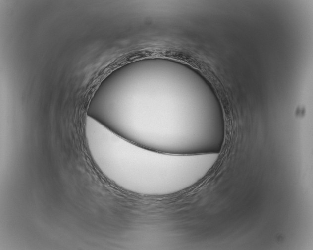 X0000113111253200908281008